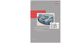 0247_d1_VW-AUDI_Self-service-program-SSP 